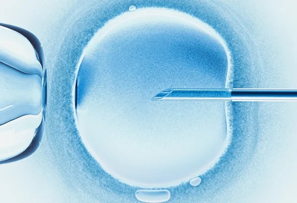 Em bé đầu tiên trên thế giới chào đời nhờ IVF tự động điều khiển từ xa